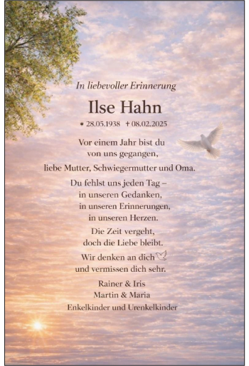 Traueranzeige von Ilse Hahn  von Schwarzwälder Bote